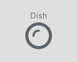Dish